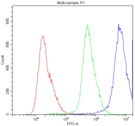 Anti-SUR1 antibody used in Flow cytometry (FCM). GTX04855
