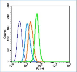 Anti-CD4 antibody used in Flow cytometry (FCM). GTX04861