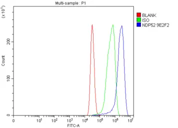 Anti-NDP52 antibody [9E2F2] used in Flow cytometry (FCM). GTX04863
