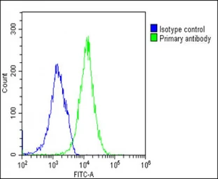 Anti-TIM-3 antibody [1827CT151.74.68] used in Flow cytometry (FCM). GTX04870