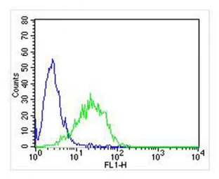 Anti-KLRC1 antibody used in Flow cytometry (FCM). GTX04876