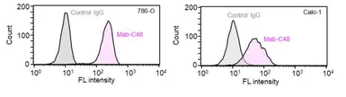 Anti-CD317 antibody [Mab-C48] used in Flow cytometry (FCM). GTX04888