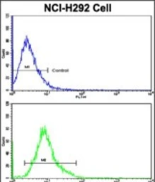 Anti-ELF4 antibody used in Flow cytometry (FCM). GTX04902