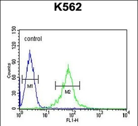 Anti-GAS2L1 antibody used in Flow cytometry (FCM). GTX04904