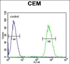 Anti-GAL3ST1 antibody used in Flow cytometry (FCM). GTX04952
