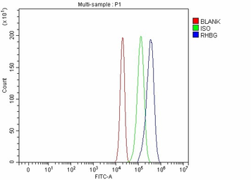 Anti-RHBG antibody used in Flow cytometry (FCM). GTX04977