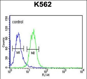 Anti-RHBG antibody used in Flow cytometry (FCM). GTX04978