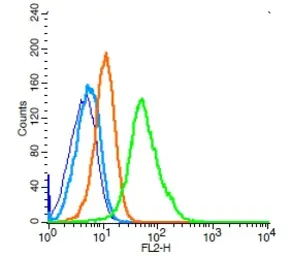Anti-CD19 antibody used in Flow cytometry (FCM). GTX04994