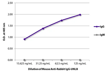 Mouse Anti-Rabbit IgG antibody [2A9]. GTX05005