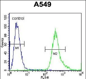 Anti-SLC25A6 antibody used in Flow cytometry (FCM). GTX05019
