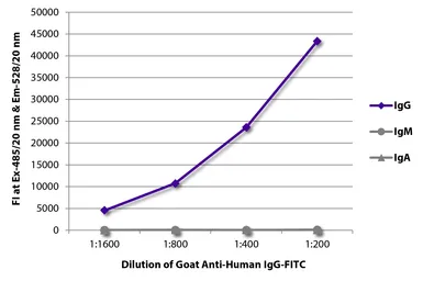 Goat Anti-Human IgG antibody, pre-adsorbed (FITC). GTX05041