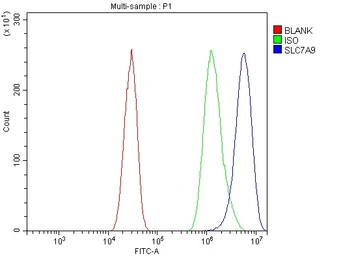 Anti-SLC7A9 antibody used in Flow cytometry (FCM). GTX05042