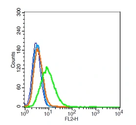Anti-Aquaporin 5 antibody used in Flow cytometry (FCM). GTX05048
