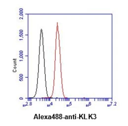 Anti-PSA antibody [AT1D10] used in Flow cytometry (FCM). GTX05063