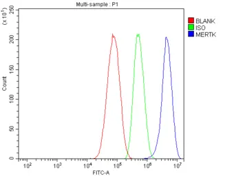 Anti-MERTK antibody used in Flow cytometry (FCM). GTX05072