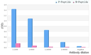 Anti-PKC gamma (phospho Thr514) antibody used in ELISA (ELISA). GTX05095