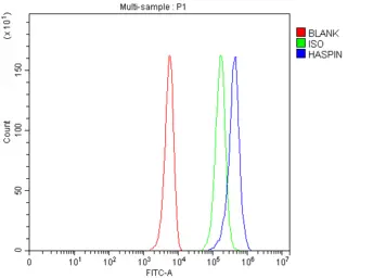 Anti-Haspin antibody used in Flow cytometry (FCM). GTX05096