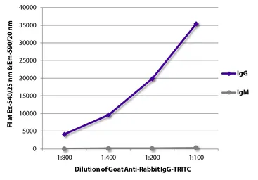 Goat anti-Rabbit IgG antibody (TRITC). GTX05104-25