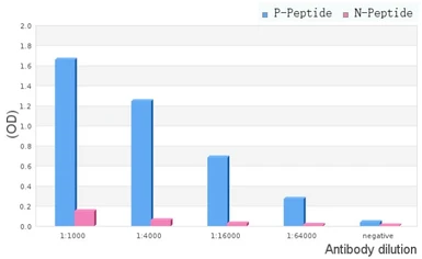 Anti-DRP1 (phospho Ser616) antibody used in  (). GTX05115