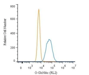 Anti-O-GlcNAc antibody [RL2] used in Flow cytometry (FCM). GTX05118