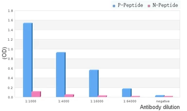 Anti-PKA C (phospho Thr198) antibody used in ELISA (ELISA). GTX05119