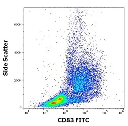 Anti-CD83 antibody [HB15e] (FITC) used in Flow cytometry (FCM). GTX05141-06