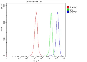 Anti-HBEGF antibody used in Flow cytometry (FCM). GTX05154