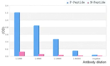 Anti-p70 S6K (phospho Thr389/Thr412) antibody used in  (). GTX05173