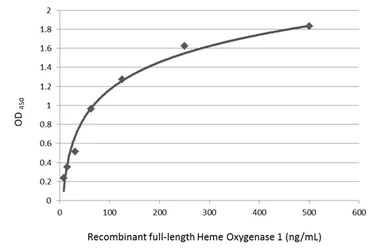 Anti-Heme Oxygenase 1 antibody used in ELISA (ELISA). GTX101147