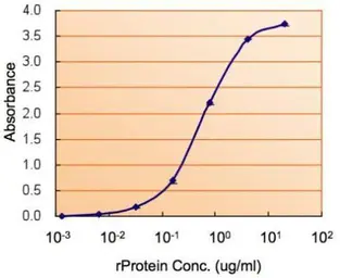 Anti-COMT antibody used in ELISA (ELISA). GTX101233
