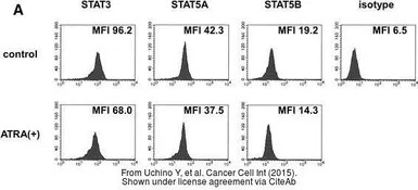 Anti-STAT5A antibody [N3C3] used in Flow cytometry (FCM). GTX103750