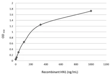 Anti-HN1 antibody used in ELISA (ELISA). GTX106585