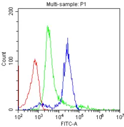 Anti-CD3 epsilon antibody [CA-3] used in Flow cytometry (FCM). GTX10869