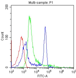Anti-CD4 antibody [CA-4] used in Flow cytometry (FCM). GTX10882