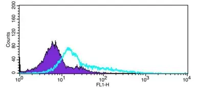 Anti-RP105 antibody [N2C1], Internal used in Flow cytometry (FCM). GTX109057