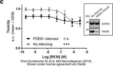 Anti-PDE6D antibody [N1C3] used in Western Blot (WB). GTX109240