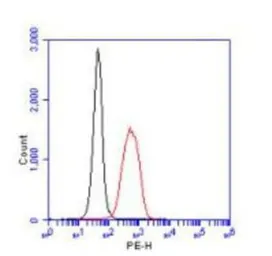 Anti-PHD2 antibody used in Flow cytometry (FCM). GTX10930