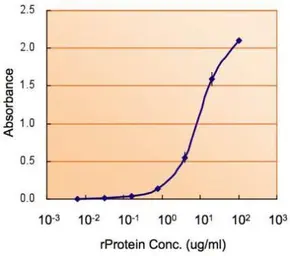 Anti-G6PD antibody [N2C1], Internal used in ELISA (ELISA). GTX113186