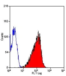 Anti-EGFR antibody [ICR10] (FITC) used in Flow cytometry (FCM). GTX11400