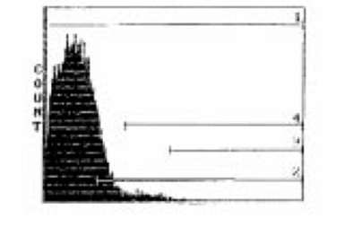 Anti-TCR gamma + delta antibody [GL3] (FITC) used in Flow cytometry (FCM). GTX11467