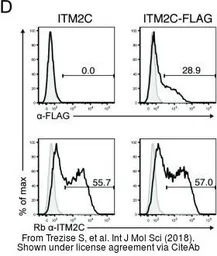 Anti-ITM2C antibody used in Flow cytometry (FCM). GTX116904