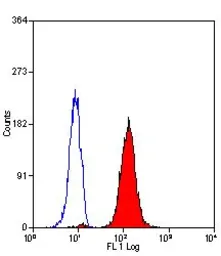 Anti-Myeloperoxidase antibody [2C7] (FITC) used in Flow cytometry (FCM). GTX11729