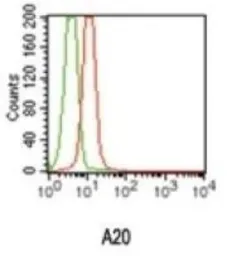 Anti-TNFAIP3 antibody [59A426] used in Flow cytometry (FCM). GTX11900