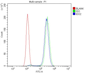 Anti-INDOL1 antibody used in Flow cytometry (FCM). GTX11947