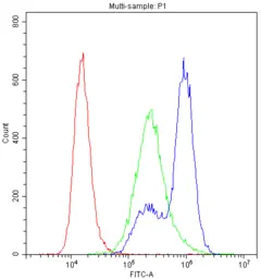 Anti-MYPT1 antibody used in Flow cytometry (FCM). GTX12027