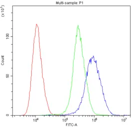 Anti-MYPT1 antibody used in Flow cytometry (FCM). GTX12027