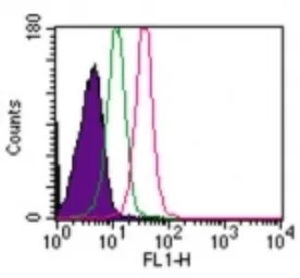 Anti-TLR8 antibody [44C143] used in Flow cytometry (FCM). GTX12120