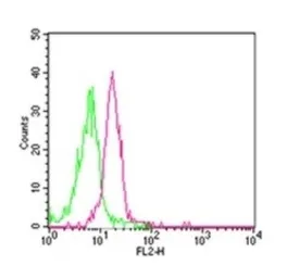 Anti-TLR8 antibody [44C143] used in Flow cytometry (FCM). GTX12120