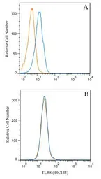 Anti-TLR8 antibody [44C143] used in Flow cytometry (FCM). GTX12120