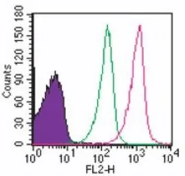 Anti-TLR8 antibody [44C143] used in Flow cytometry (FCM). GTX12120